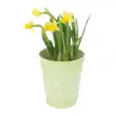 Bild 4 von GARDENLINE Bepflanzte Osterkeramik