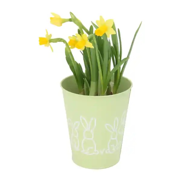 Bild 4 von GARDENLINE Bepflanzte Osterkeramik