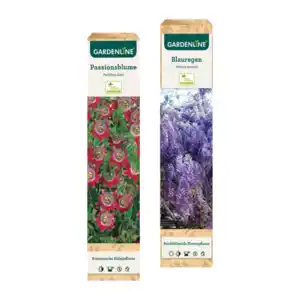 GARDENLINE Rankpflanze