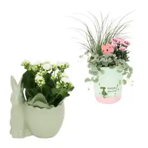 GARDENLINE Bepflanztes Ostergefäß