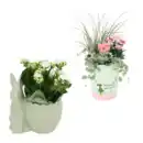 Bild 1 von GARDENLINE Bepflanztes Ostergefäß