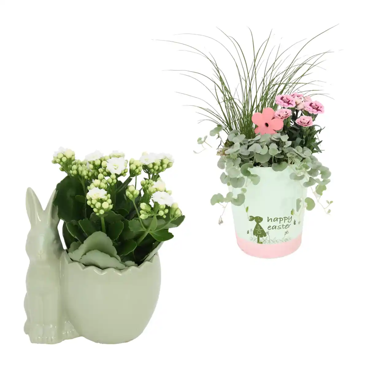 Bild 1 von GARDENLINE Bepflanztes Ostergefäß