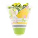 Bild 2 von GARDENLINE Kalanchoe