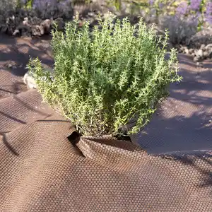 Powertec Garden XL-Waben-Unkrautvlies