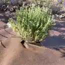 Bild 1 von Powertec Garden XL-Waben-Unkrautvlies