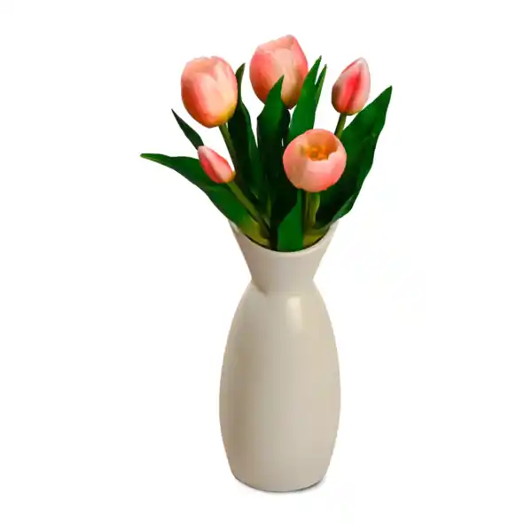 Bild 2 von HOME CREATION Tulpen