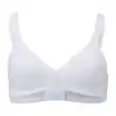 Bild 2 von NUR DIE BH