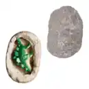 Bild 1 von KOSMOS Ausgrabungs-Ei