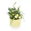 Bild 3 von GARDENLINE Bepflanztes Ostergefäß