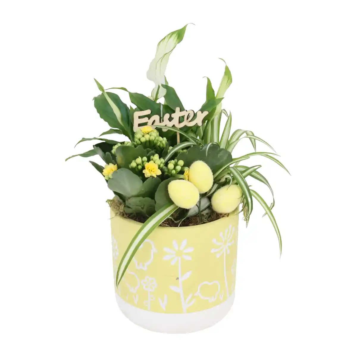 Bild 3 von GARDENLINE Bepflanztes Ostergefäß