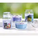 Bild 1 von Bella Casa 3-Docht-Kerze / XXL Bonbonglas