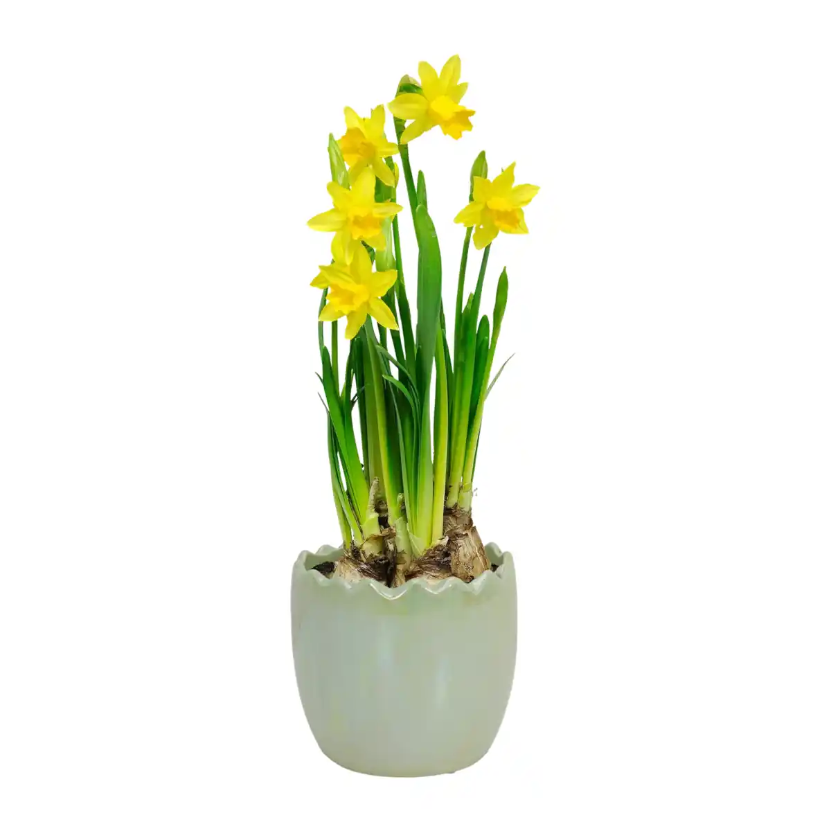 Bild 2 von GARDENLINE Bepflanzte Osterkeramik