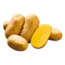 Bild 1 von Pflanzkartoffeln „Goldmarie“