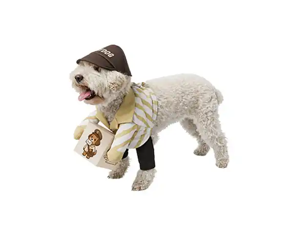 Bild 2 von Hundekostüm Postbote
