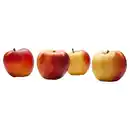 Bild 1 von BESTES AUS DER REGION Äpfel Elstar 1,1 kg
