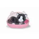 Bild 1 von BABY born - Mein Kätzchen Cookie mit Box