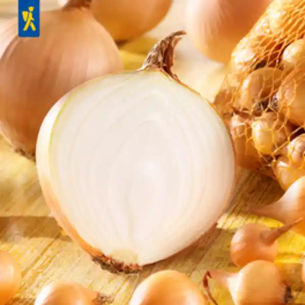 Bild 2 von Kiepenkerl Steckzwiebel cepa Allium