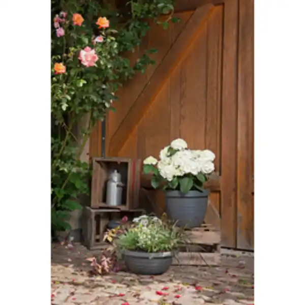 Bild 3 von SCHEURICH Pflanzgefäß »Catania«, 48 x 36,7 cm (ØxH), Kunststoff, metallgrau