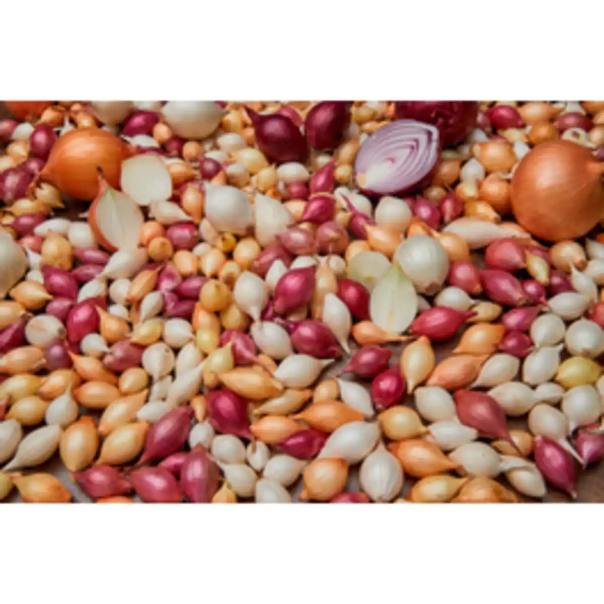 Bild 3 von Kiepenkerl Steckzwiebeln »Trio«, verschiedene Größen, 250 g