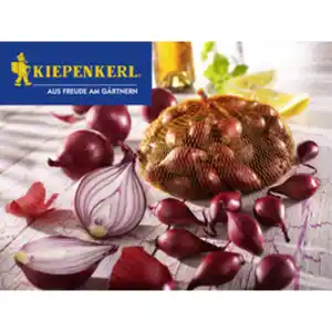 Kiepenkerl Steckzwiebel cepa Allium