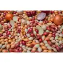 Bild 2 von Kiepenkerl Steckzwiebeln »Trio«, verschiedene Größen, 250 g