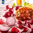 Bild 2 von Kiepenkerl Steckzwiebel cepa Allium