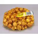 Bild 3 von Kiepenkerl Steckzwiebel cepa Allium