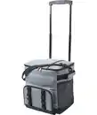 Bild 1 von Kühl-Trolley mit Teleskopgriff, grau