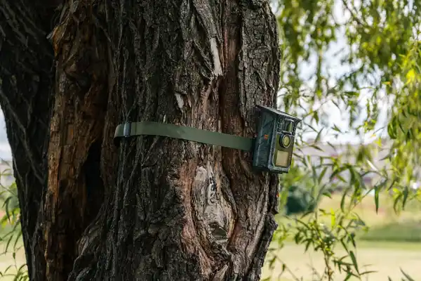 Bild 2 von TECHNAXX WiFi-Wildtierkamera »TX-326«