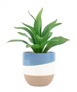 Kunst-Sukkulente, grün