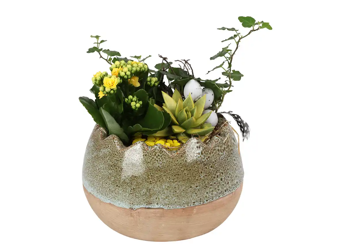 Bild 1 von Bepflanztes Osterei Keramik