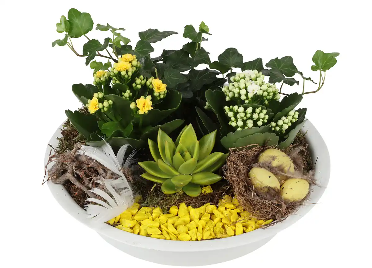 Bild 1 von Bepflanzte Zinkschale mit Kalanchoe