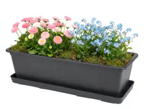 Passender Blumenkasten-Untersetzer L40cm