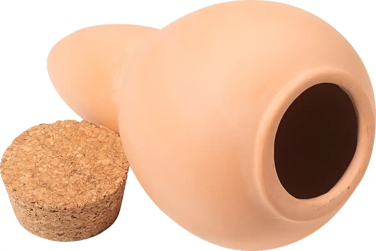 Bild 3 von IDEENWELT Pflanzenbewässerung 2er-Set