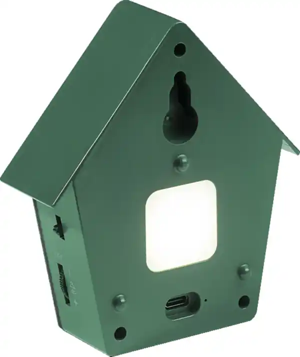 Bild 3 von IDEENWELT Vogelgesangsbox Grün