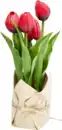 Bild 1 von IDEENWELT Deko-Tulpe rot