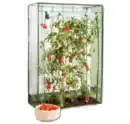 Bild 1 von Tomaten-Gewächshaus