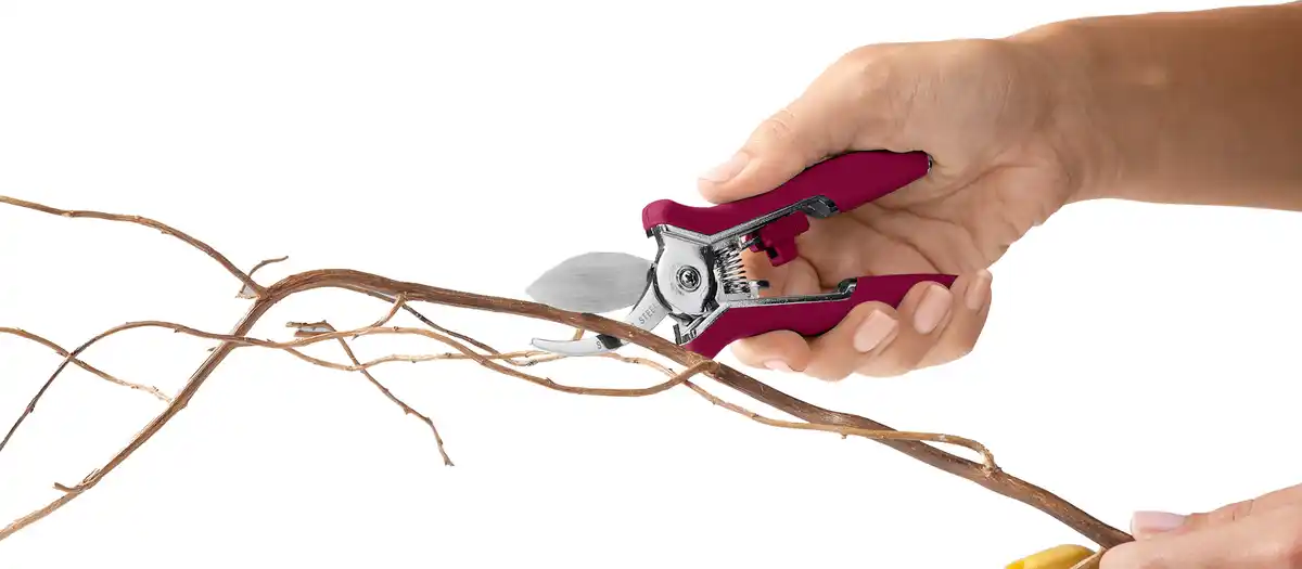 Bild 4 von IDEENWELT Mini-Feinschnittscheren 2er-Set