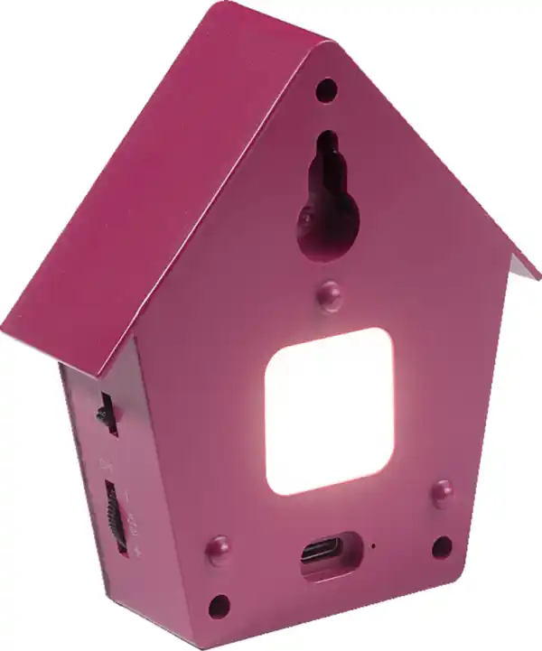 Bild 3 von IDEENWELT Vogelgesangsbox Beere