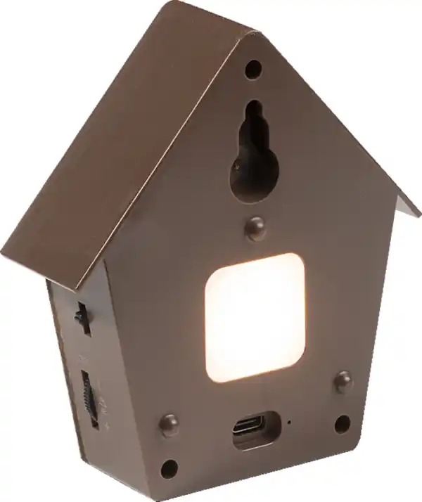 Bild 3 von IDEENWELT Vogelgesangsbox Braun