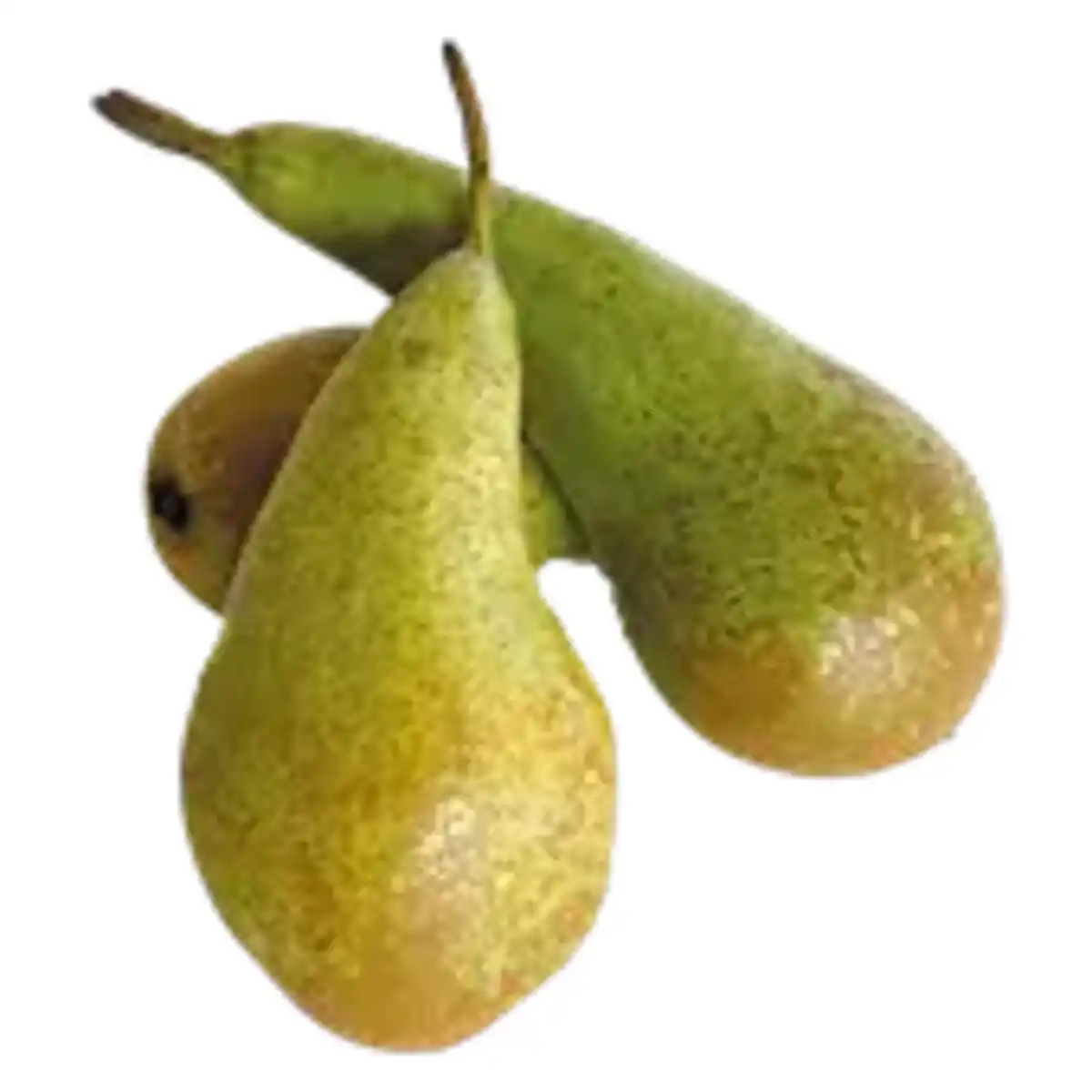 Bild 1 von Birnen Conference