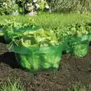 Bild 1 von Powertec Garden Schneckenschutzringe 6er-Set