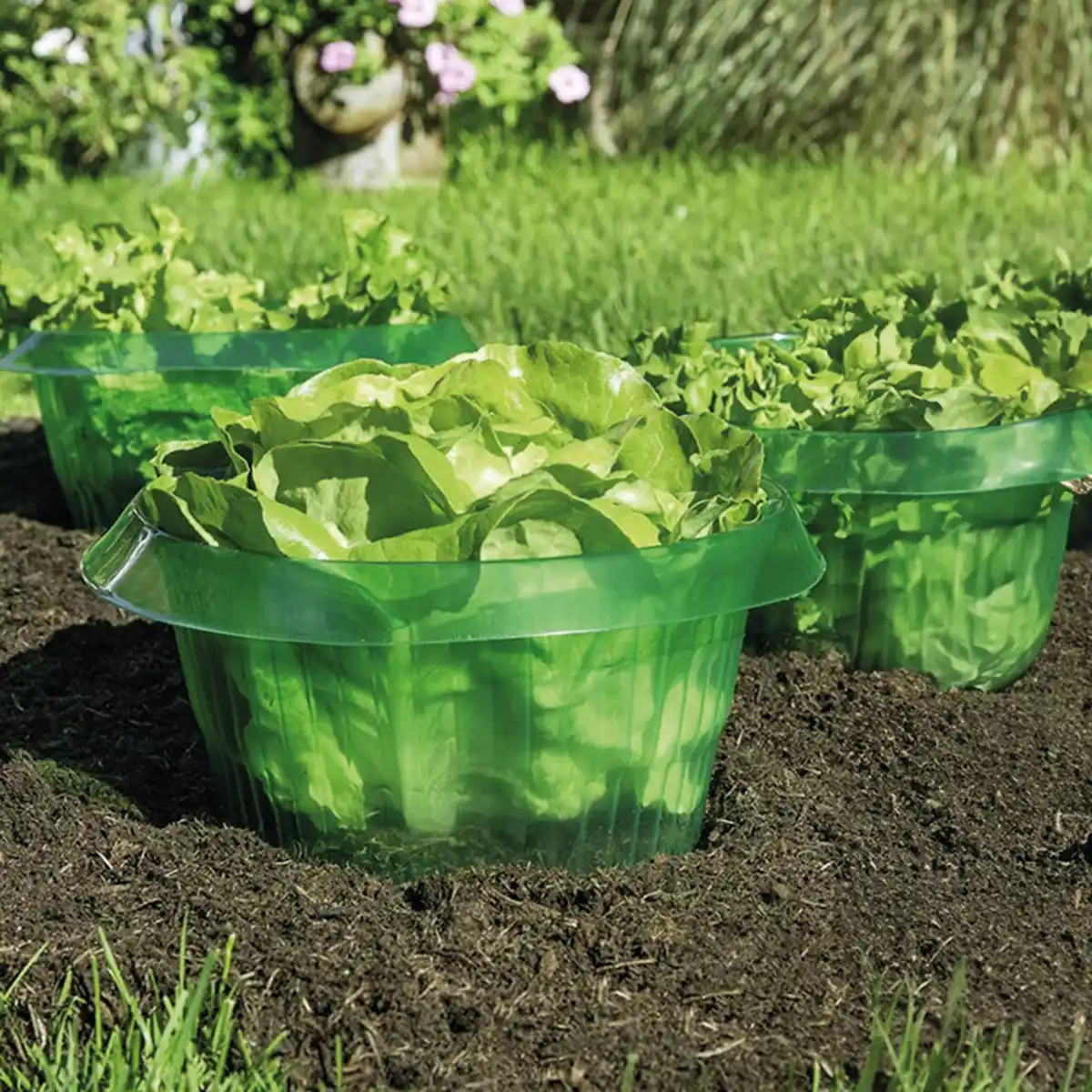 Bild 1 von Powertec Garden Schneckenschutzringe 6er-Set