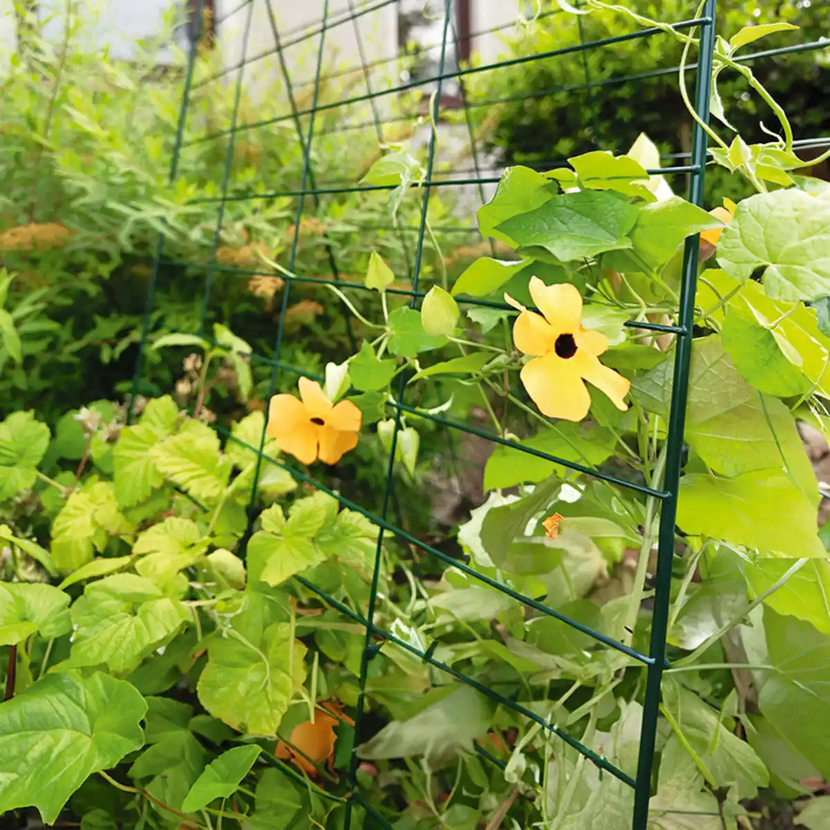 Bild 1 von Powertec Garden Rankgitter 2-tlg.