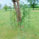 Bild 1 von Powertec Garden Rankspalier 5-tlg.