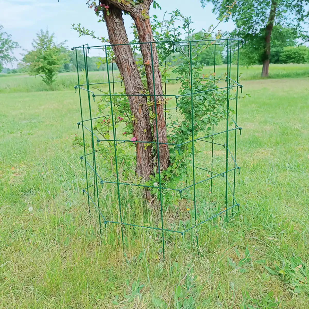 Bild 1 von Powertec Garden Rankspalier 5-tlg.