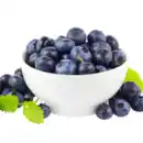 Bild 1 von Kulturheidelbeeren