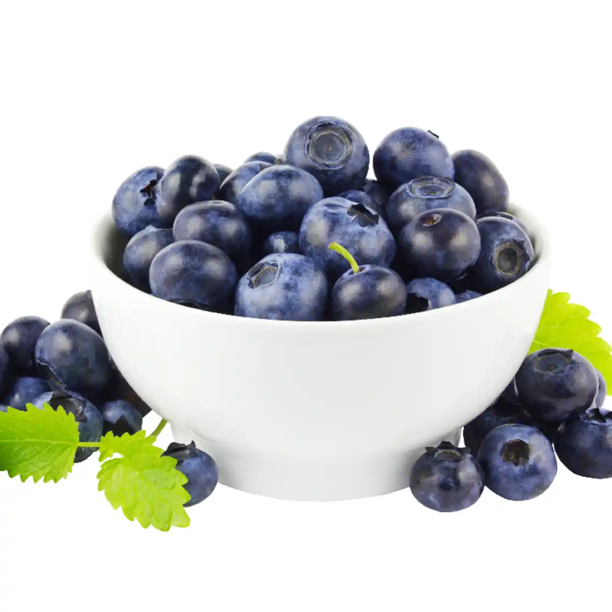 Bild 1 von Kulturheidelbeeren