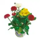 Bild 1 von Spring Collection Trio