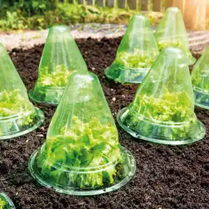 Powertec Garden Pflanzhut 10er-Set